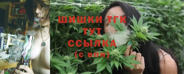 бошки Ельня